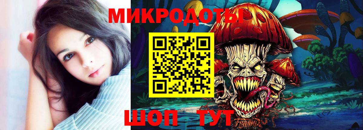 Псилоцибиновые грибы Psilocybe Сыктывкар