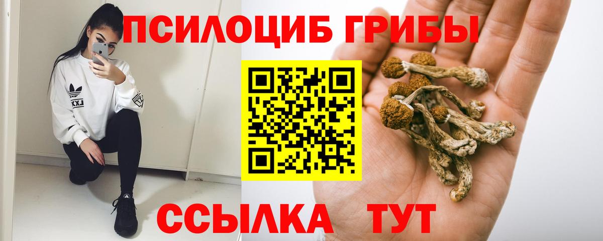 Псилоцибиновые грибы мухоморы  Вход с VPN  Псилоцибиновые грибы Psilocybine cubensis  Сыктывкар 